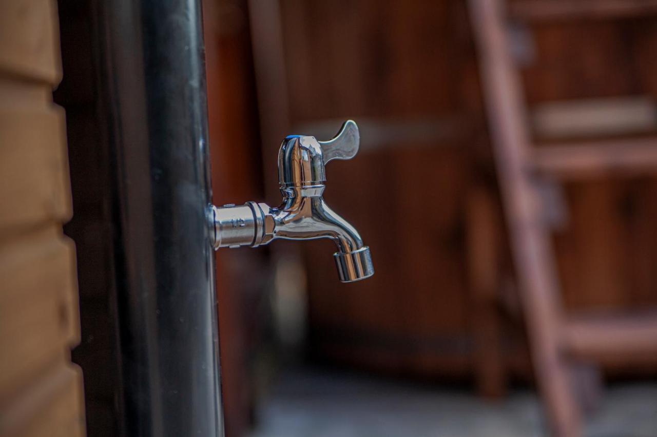 Apartamenty Przy Gorskich Rzekach Nowy Targ Buitenkant foto